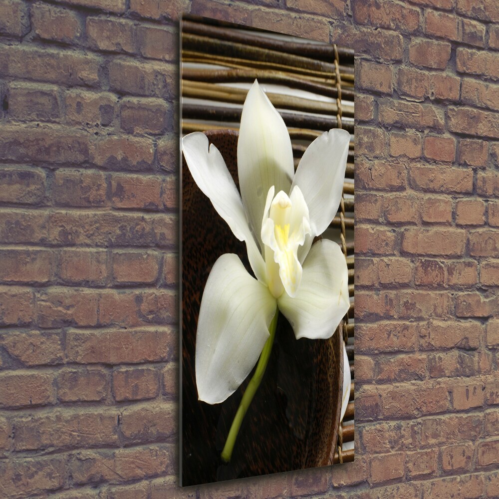 Tableau imprimé sur verre Orchidée plante