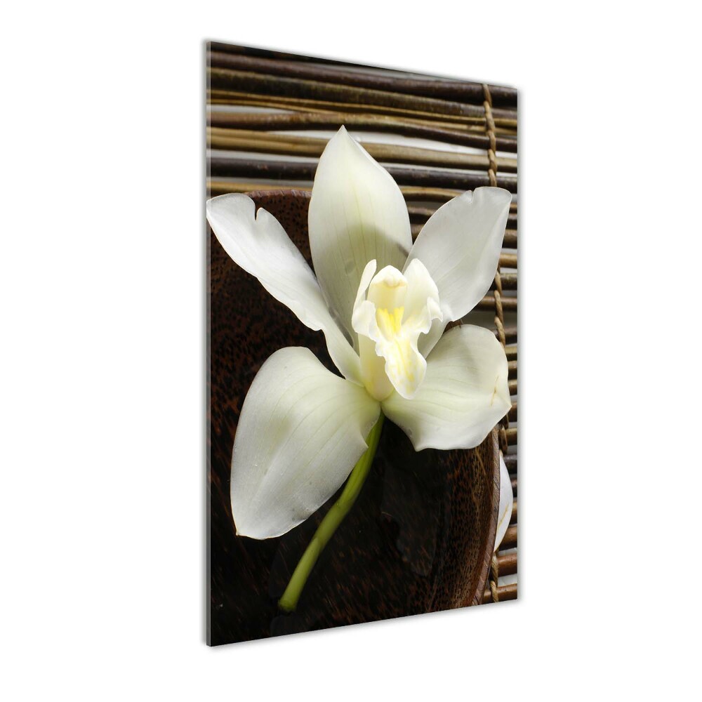 Tableau imprimé sur verre Orchidée plante