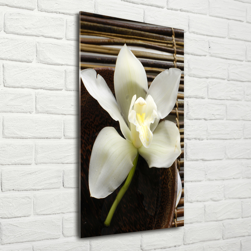 Tableau imprimé sur verre Orchidée plante