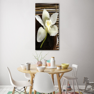 Tableau imprimé sur verre Orchidée plante