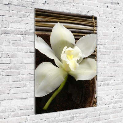 Tableau imprimé sur verre Orchidée plante