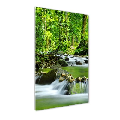 Tableau photo sur verre Ruisseau de montagne