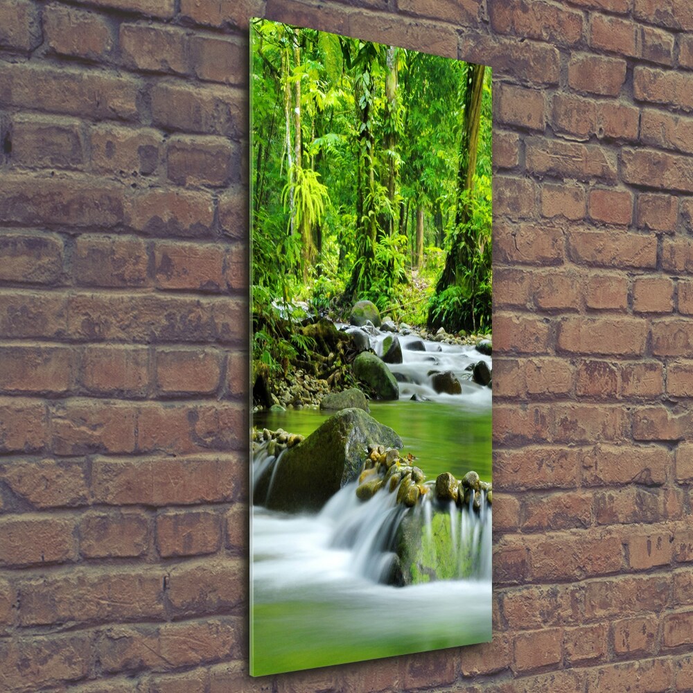 Tableau photo sur verre Ruisseau de montagne