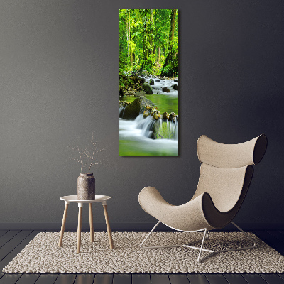 Tableau photo sur verre Ruisseau de montagne