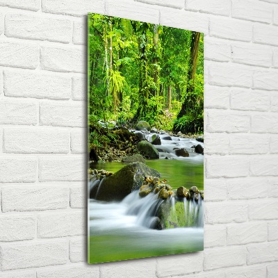 Tableau photo sur verre Ruisseau de montagne