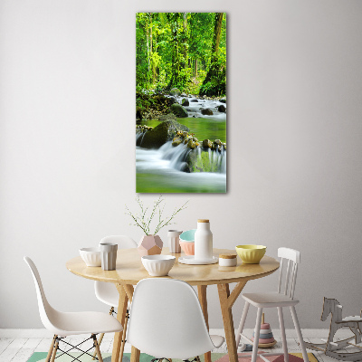 Tableau photo sur verre Ruisseau de montagne