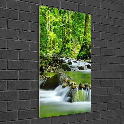 Tableau photo sur verre Ruisseau de montagne