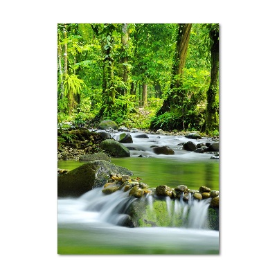 Tableau photo sur verre Ruisseau de montagne