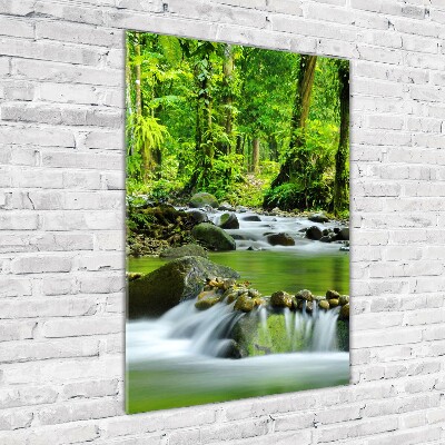 Tableau photo sur verre Ruisseau de montagne