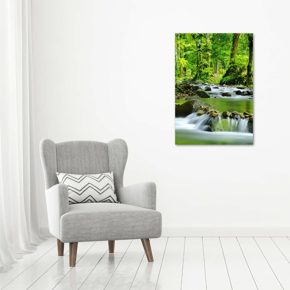 Tableau photo sur verre Ruisseau de montagne