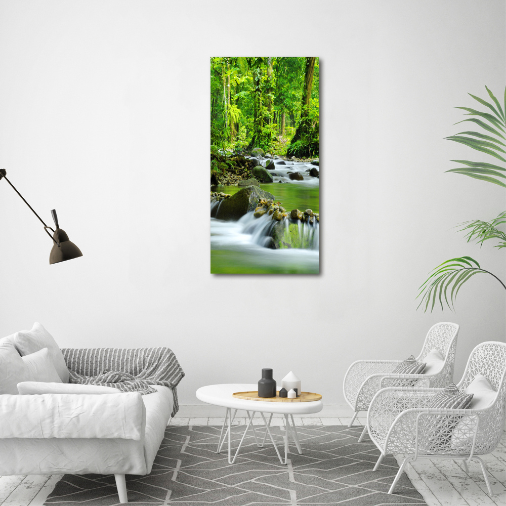 Tableau photo sur verre Ruisseau de montagne