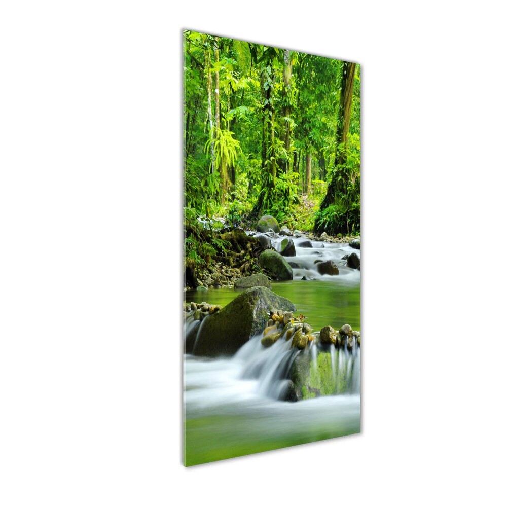 Tableau photo sur verre Ruisseau de montagne