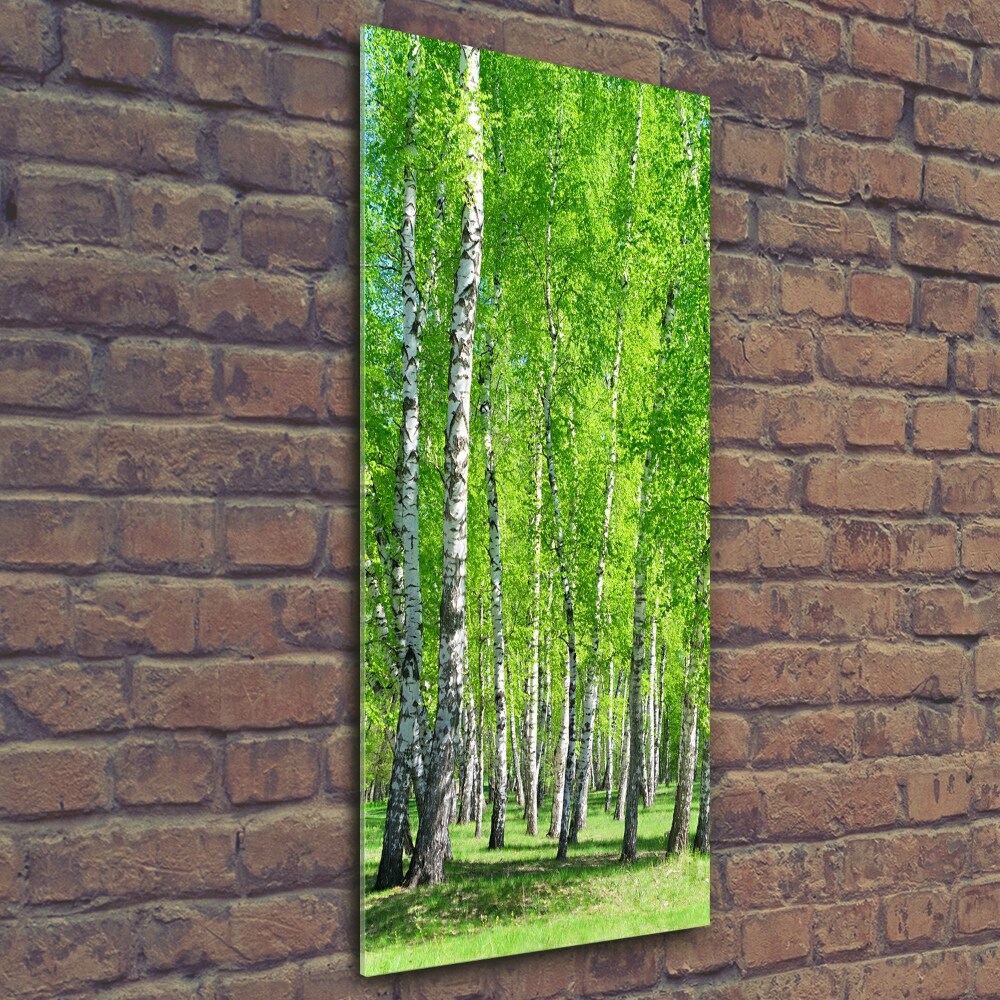 Tableau imprimé sur verre Forêt bouleau