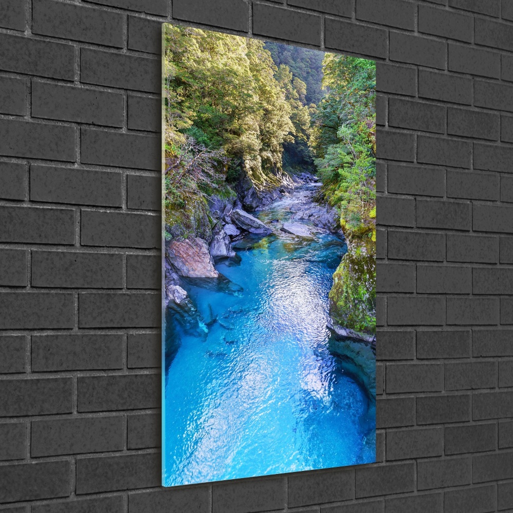 Tableau photo sur verre Rivière dans la forêt