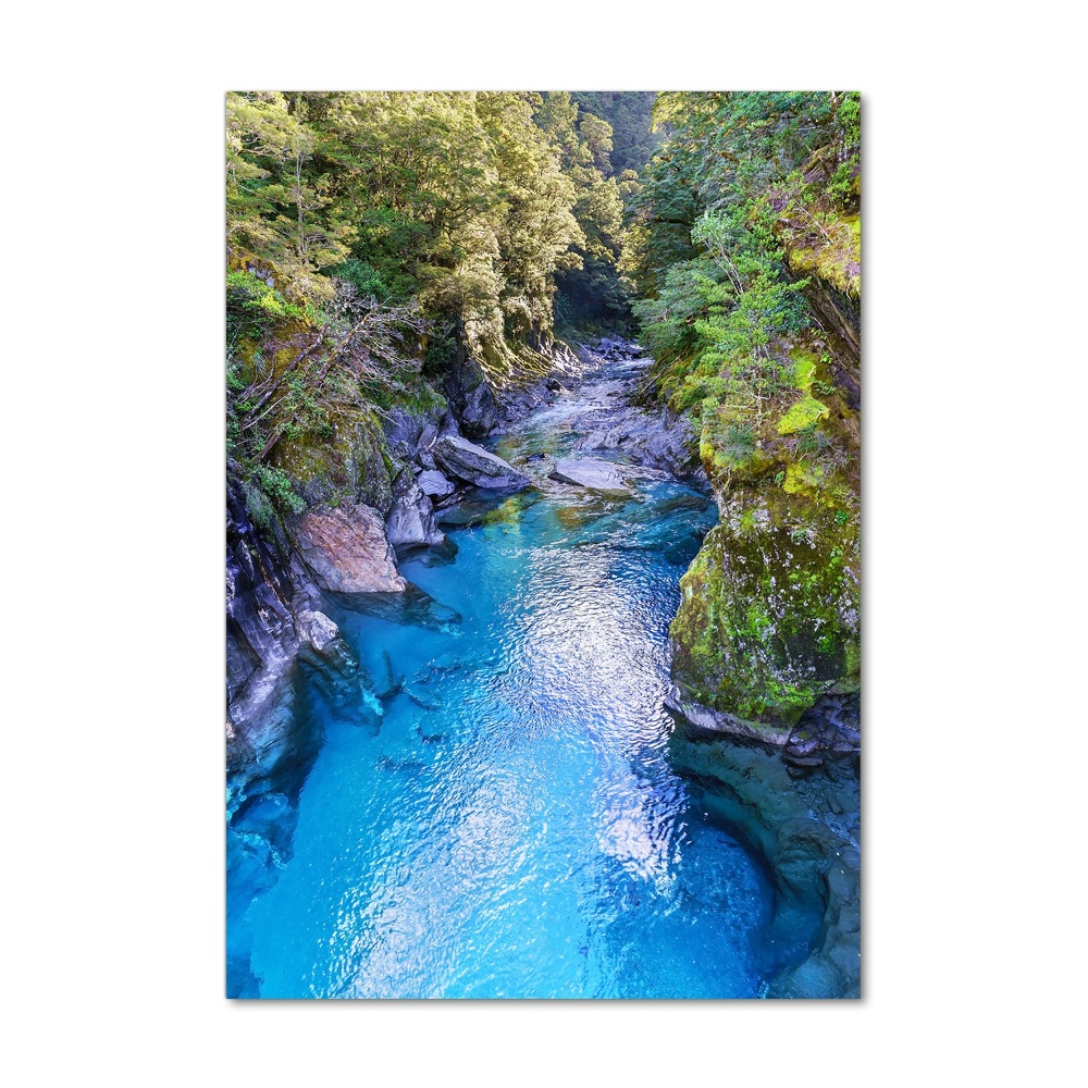 Tableau photo sur verre Rivière dans la forêt