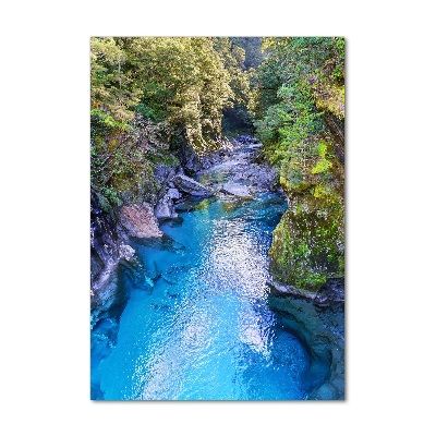 Tableau photo sur verre Rivière dans la forêt