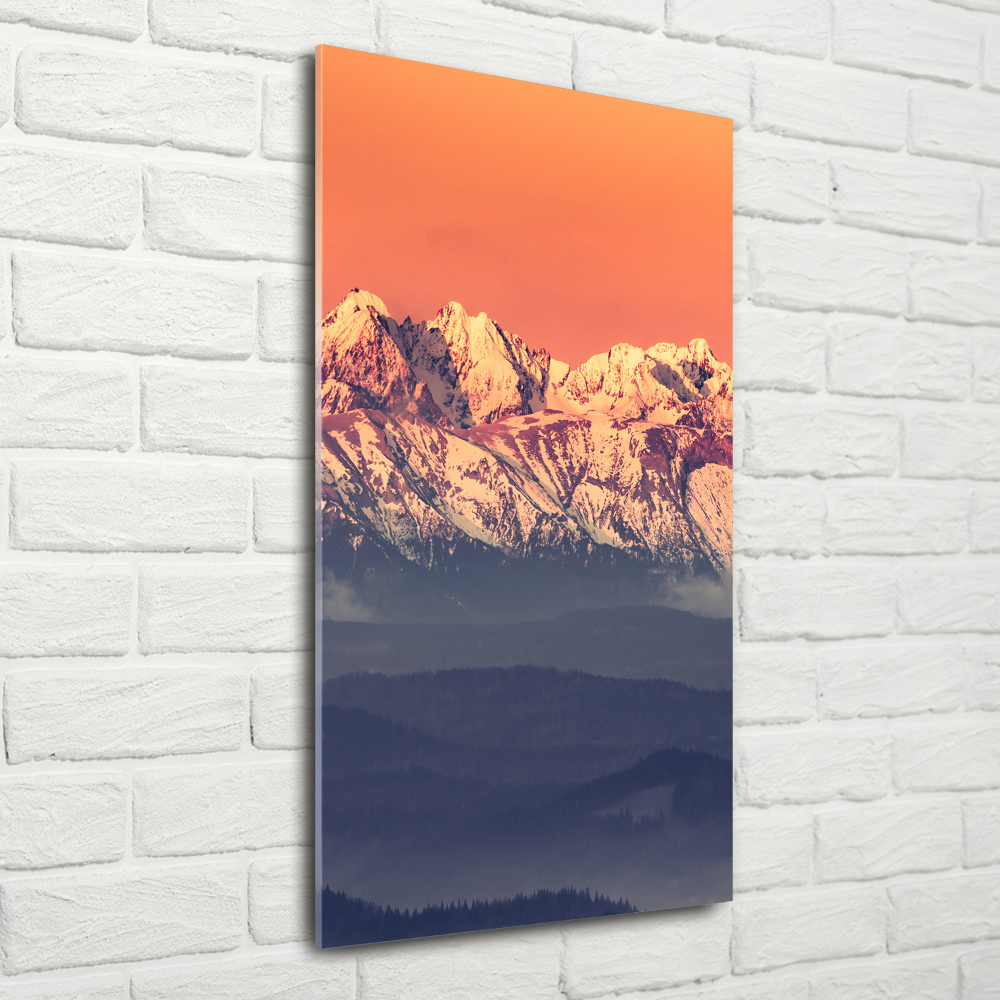 Tableau sur verre Panorama des Tatras