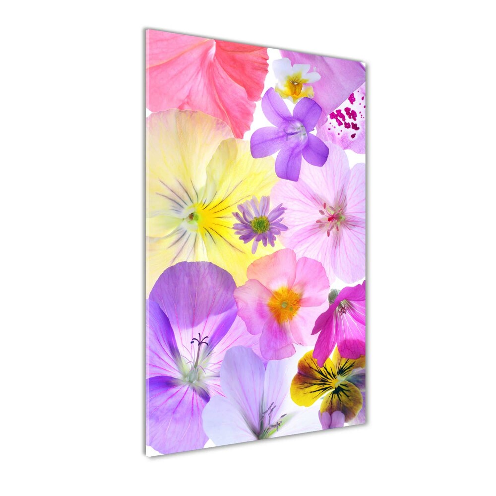 Tableau sur verre Fleurs colorées