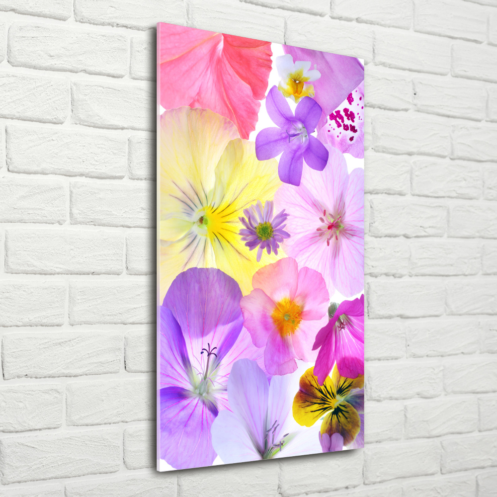 Tableau sur verre Fleurs colorées