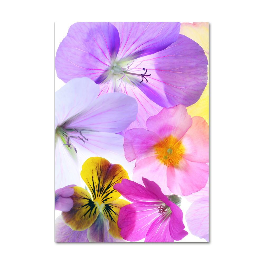 Tableau sur verre Fleurs colorées