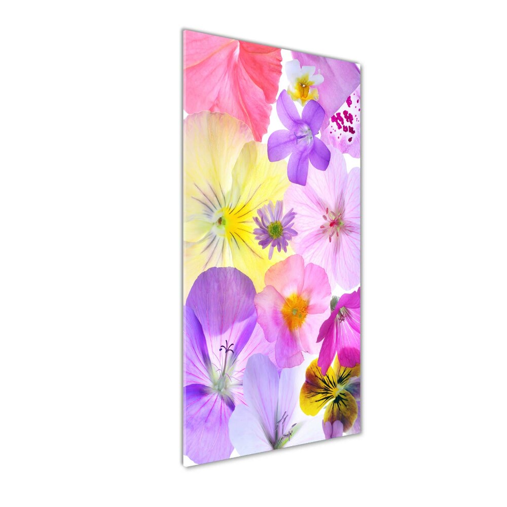 Tableau sur verre Fleurs colorées