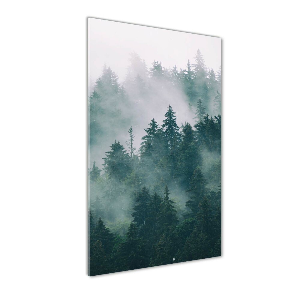 Tableau verre imprimé Brume sur la forêt