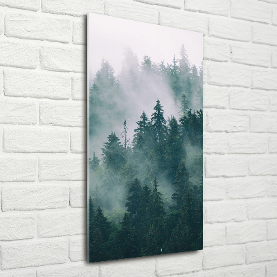 Tableau verre imprimé Brume sur la forêt