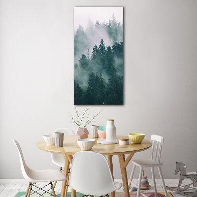 Tableau verre imprimé Brume sur la forêt