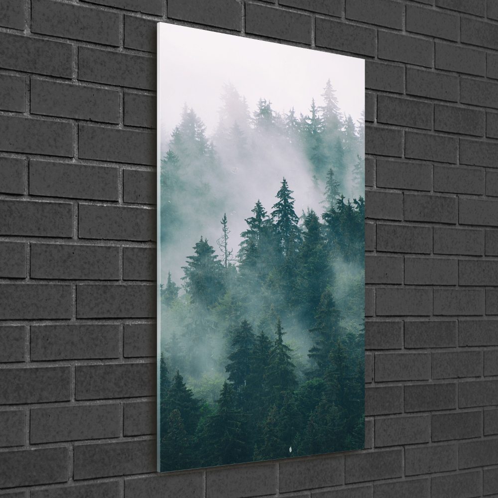 Tableau verre imprimé Brume sur la forêt