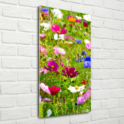 Tableau imprimé sur verre Fleurs des champs