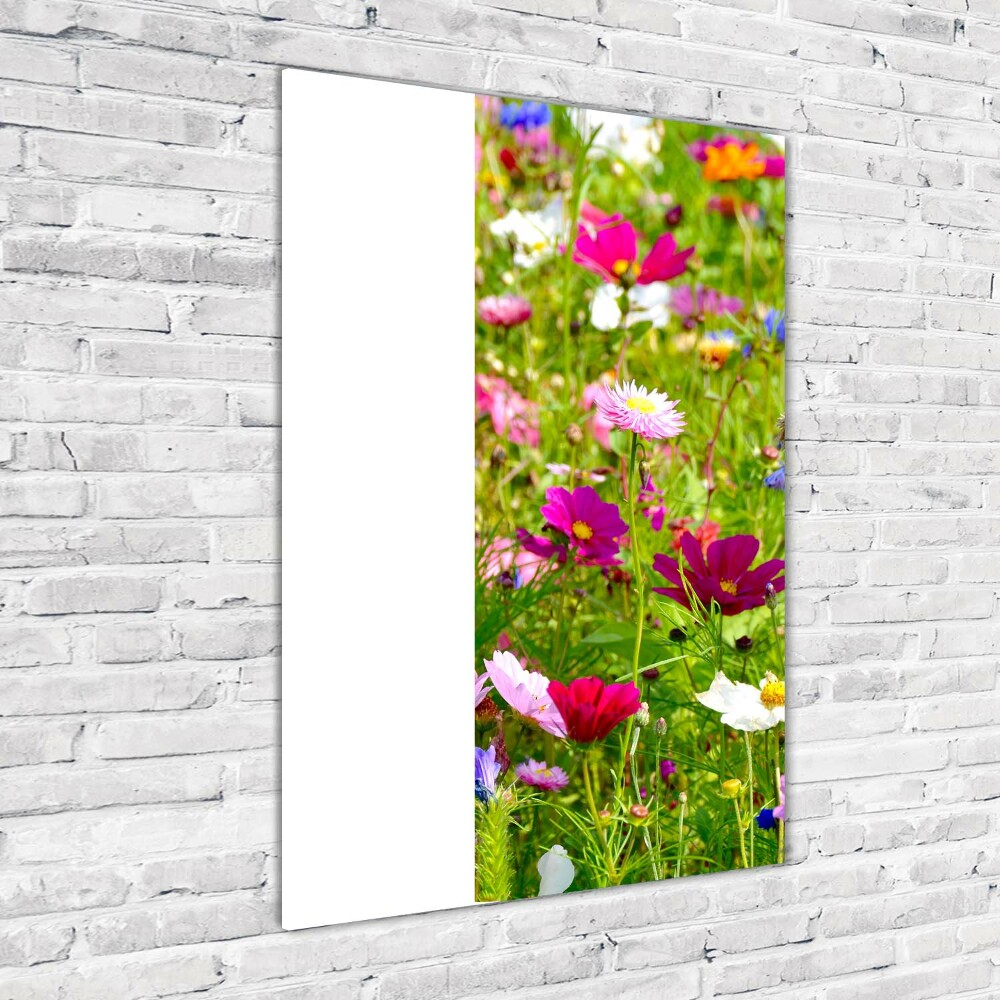 Tableau imprimé sur verre Fleurs des champs