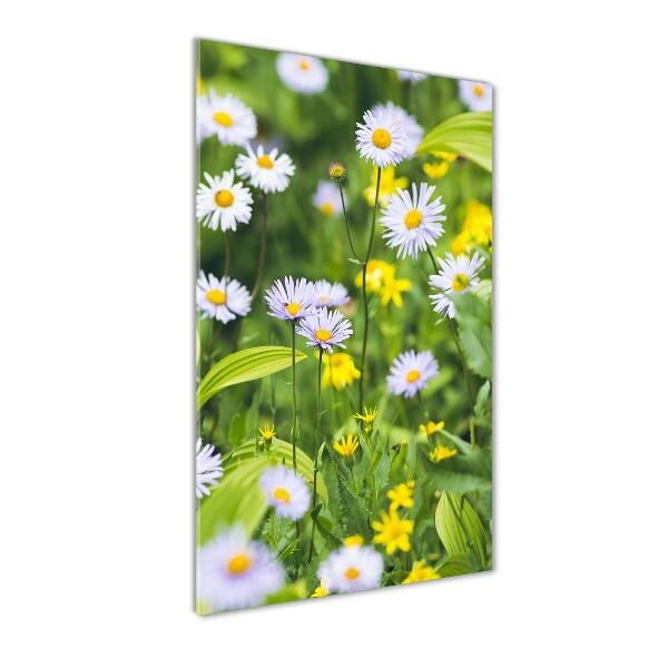Marguerites