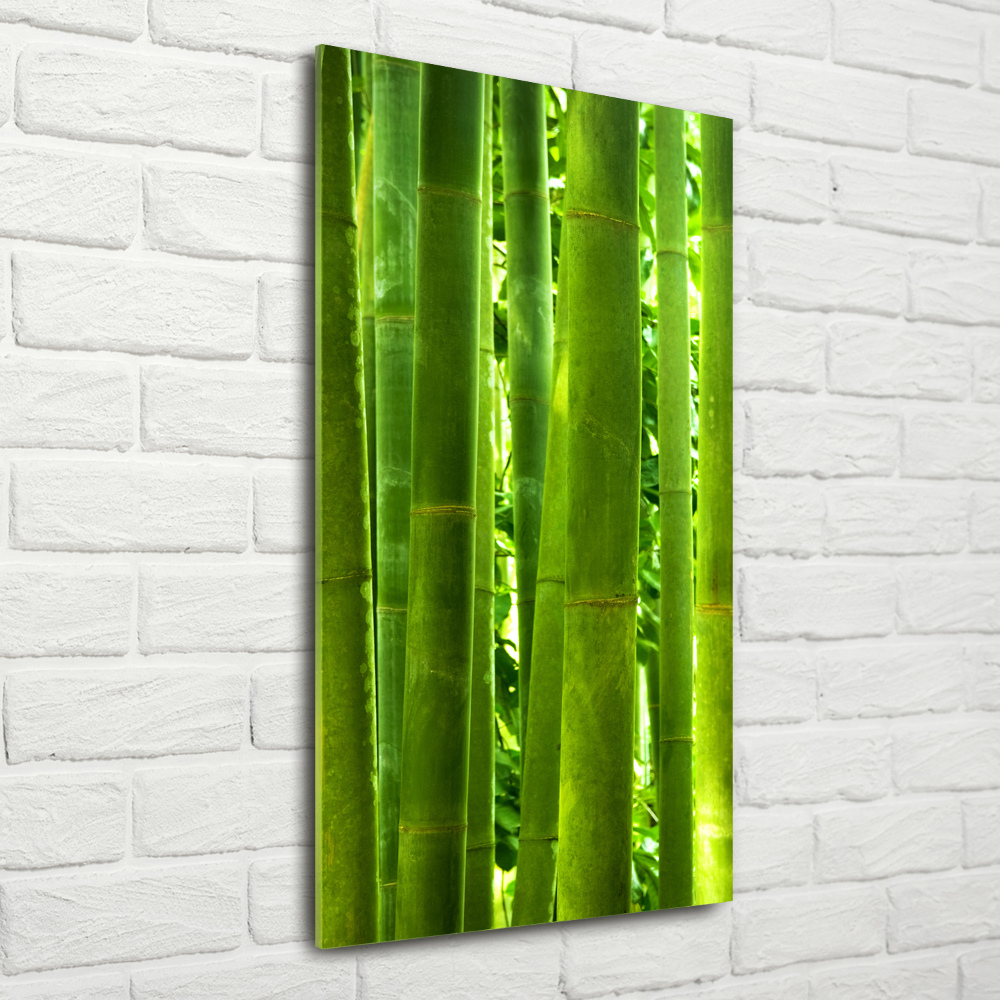 Tableau en verre Bamboo