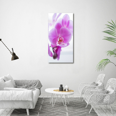 Tableau photo sur verre Orchidée rose