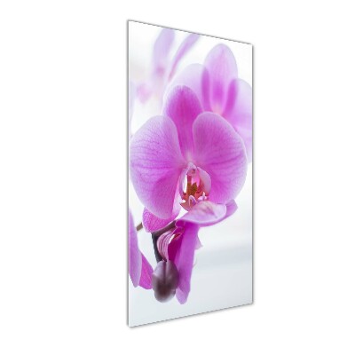 Tableau photo sur verre Orchidée rose