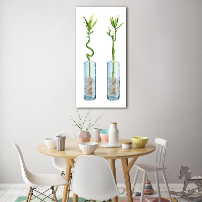 Tableau photo sur verre Bambou en pot