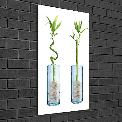 Tableau photo sur verre Bambou en pot