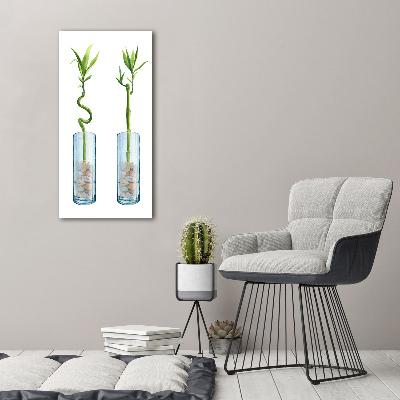 Tableau photo sur verre Bambou en pot