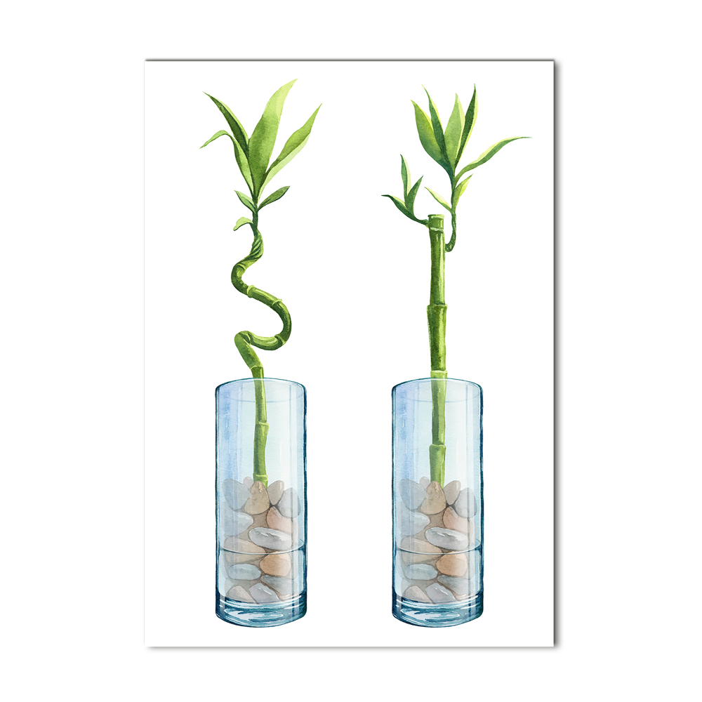 Tableau photo sur verre Bambou en pot