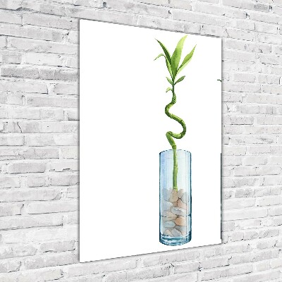 Tableau photo sur verre Bambou en pot