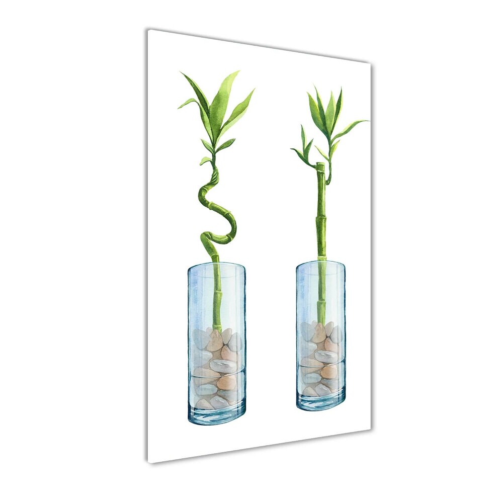 Tableau photo sur verre Bambou en pot