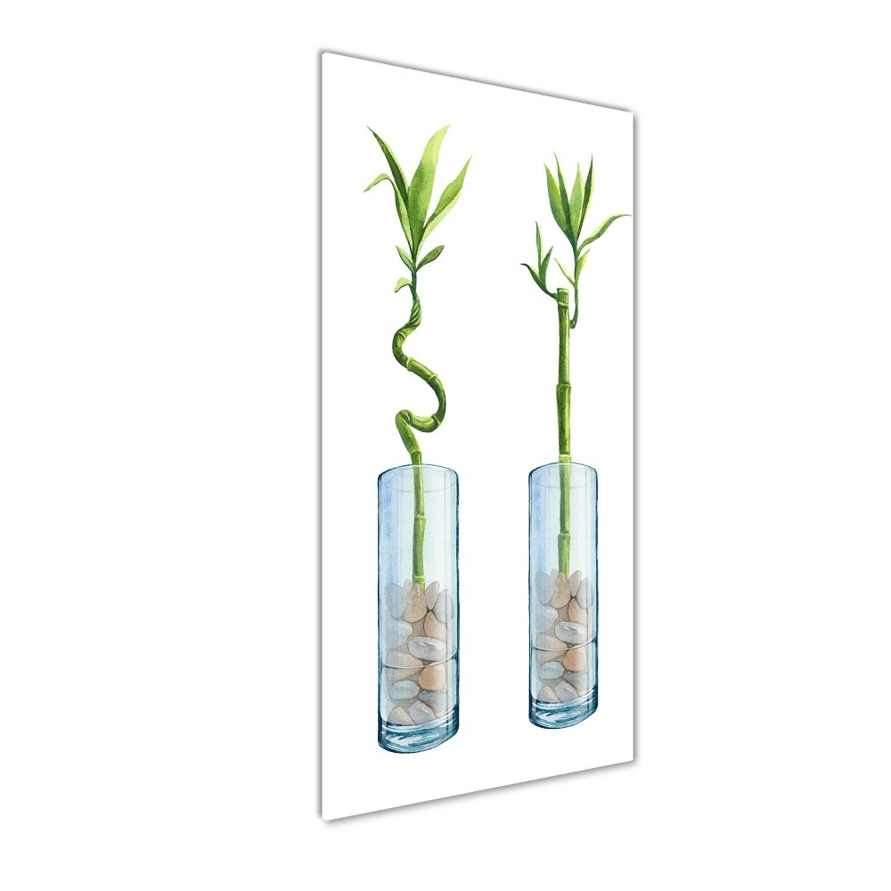 Tableau photo sur verre Bambou en pot