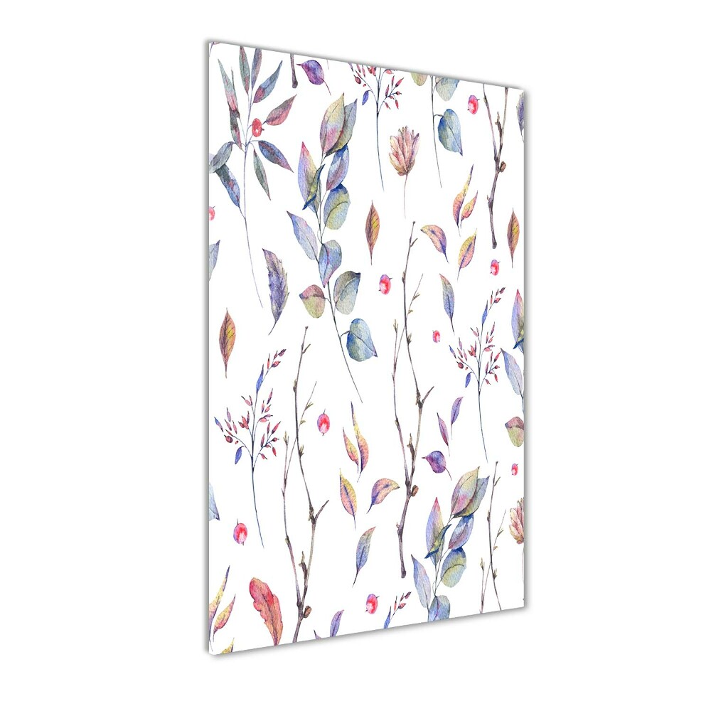 Tableau photo sur verre Feuilles d'eucalyptus