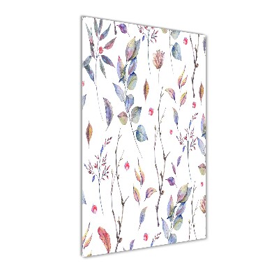 Tableau photo sur verre Feuilles d'eucalyptus