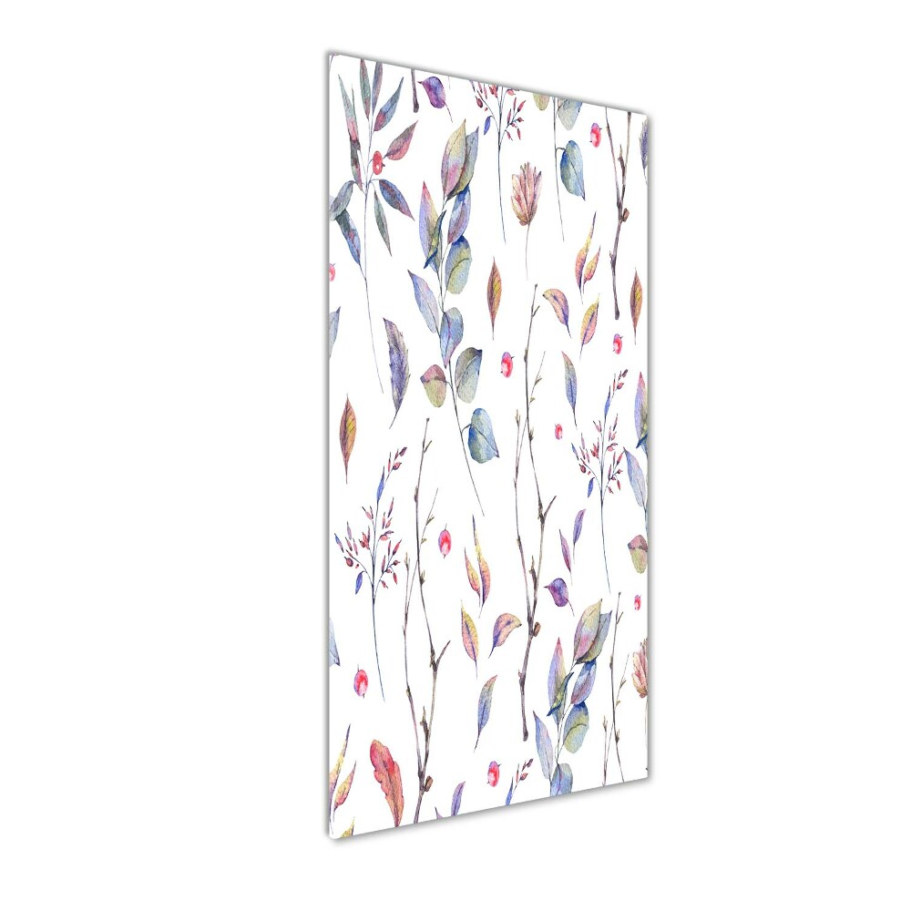 Tableau photo sur verre Feuilles d'eucalyptus