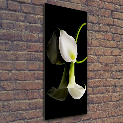 Tableau en verre Calla blanc