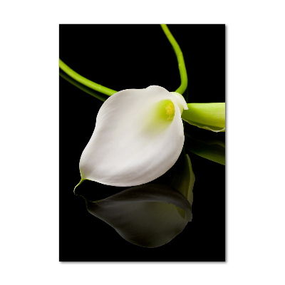 Tableau en verre Calla blanc