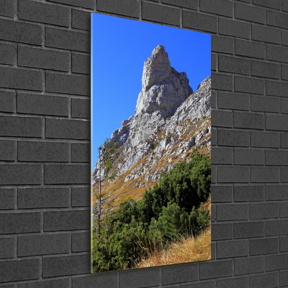 Tableau imprimé sur verre Petites montagnes de Giewont Tatry