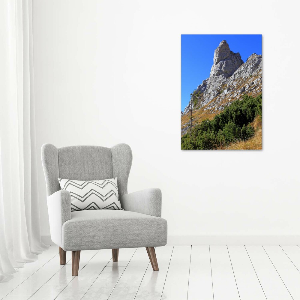 Tableau imprimé sur verre Petites montagnes de Giewont Tatry