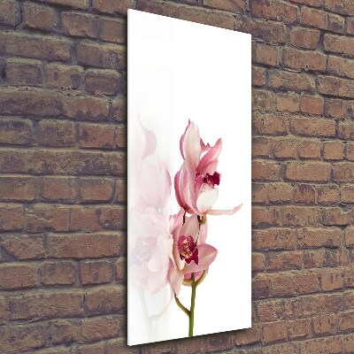 Tableau imprimé sur verre Orchidée rose